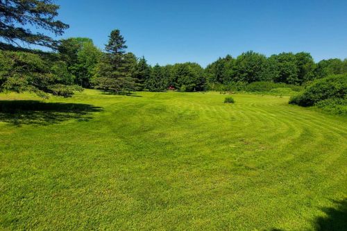 Lawn Care