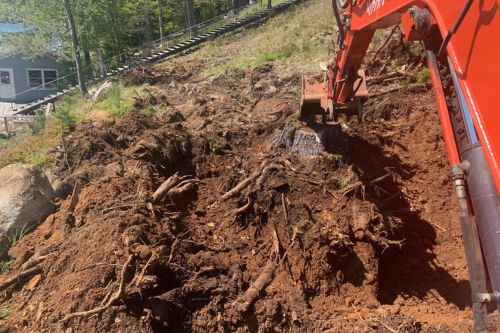 Doing Some Stump Removals
